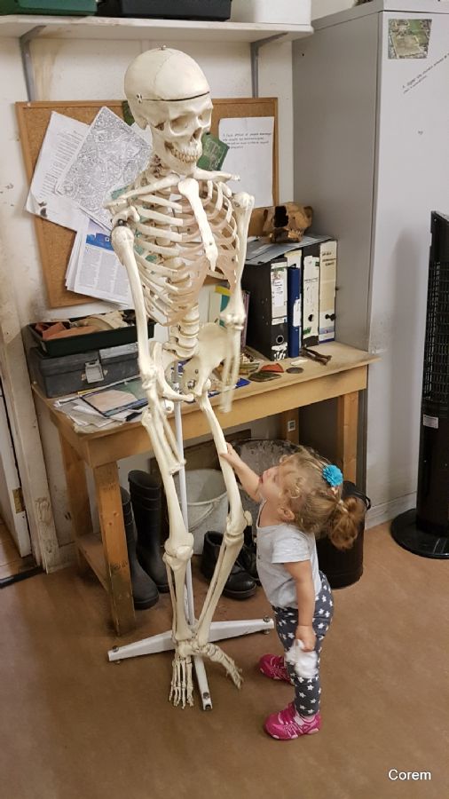 עיינה פוגשת חבר חדש במוזיאון DIG